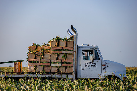 Seminis2022_FL_JEM_1068