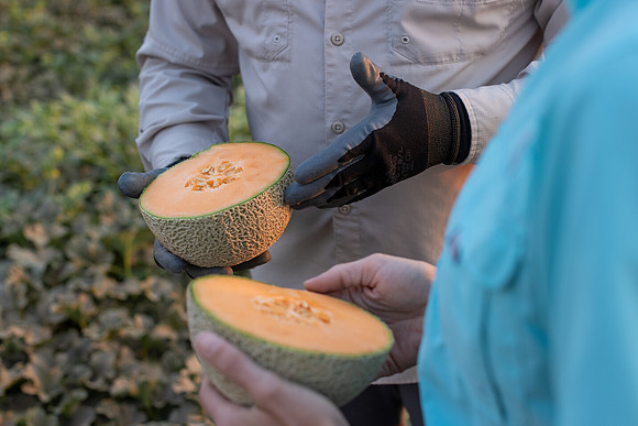 Seminis2021_AZ_346