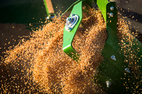 Auger
