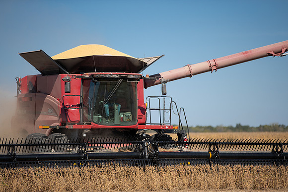 NL_Soybean_Harvest_2019_c_20