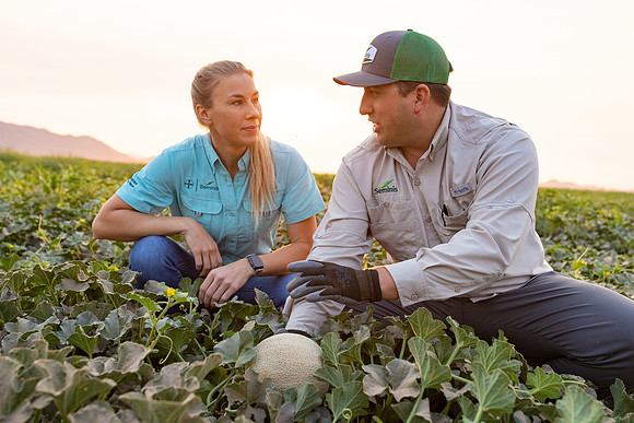Seminis2021_AZ_512