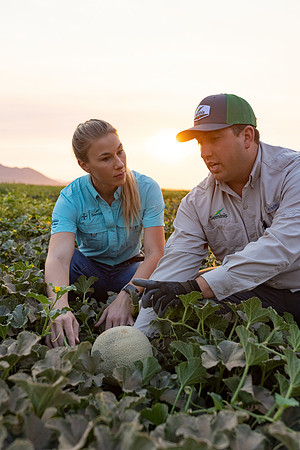 Seminis2021_AZ_501