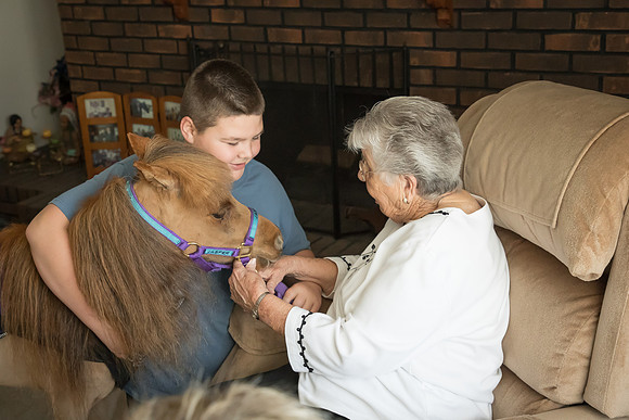 AmericasFarmers_HeartlandMiniHorses_330