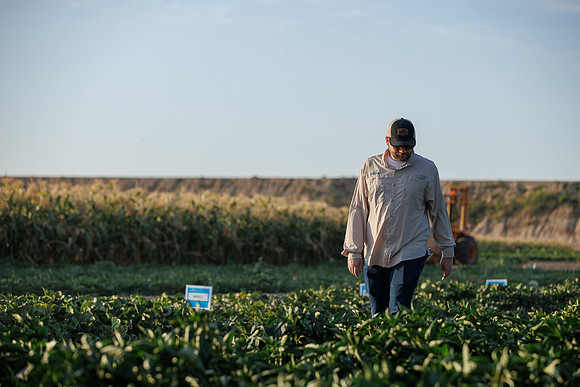 Seminis2022_Idaho_1516
