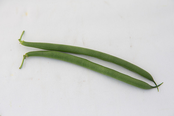 GreenBean_Sybaris_MX_Group_0007