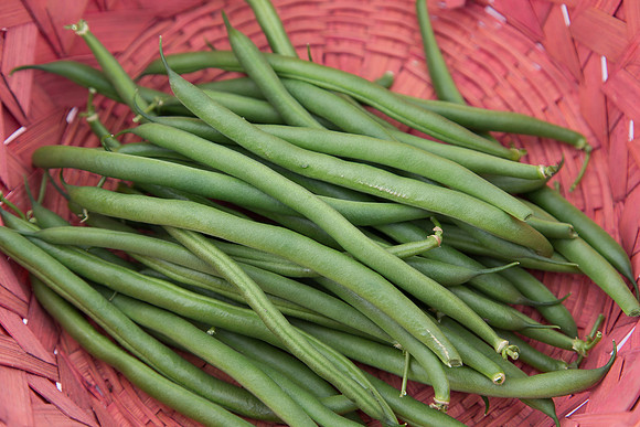 GreenBean_Sybaris_MX_0043