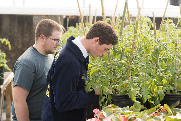 AmericasFarmers_BallardCountyHS_0263