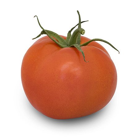 Tomato_DRTC1053_183