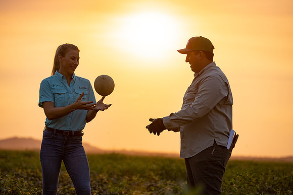 Seminis2021_AZ_650
