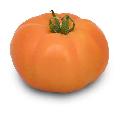 Tomato_DRTC5053_64