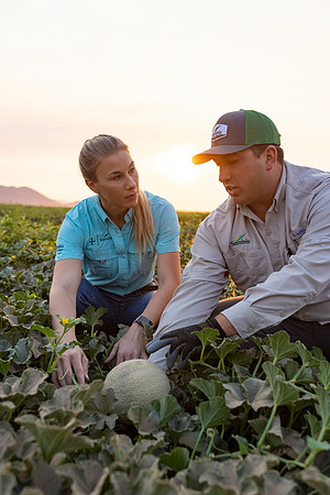 Seminis2021_AZ_498