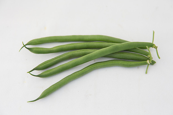 GreenBean_Sybaris_MX_Group_0003