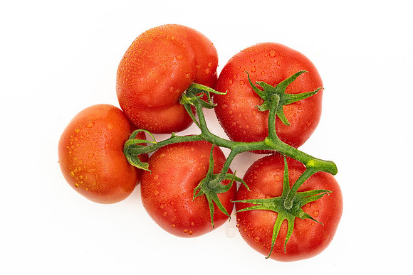 Tomatoes_DRTH1053_56