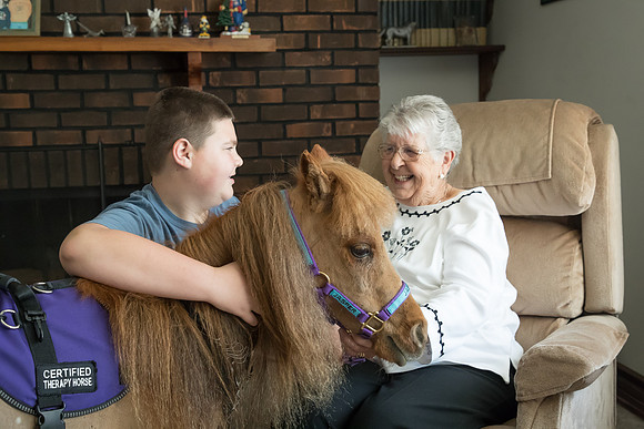 AmericasFarmers_HeartlandMiniHorses_359
