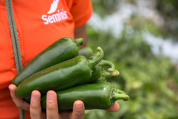HotPepper_PS5807_MX_0021
