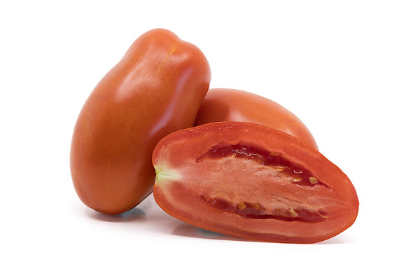 Tomato_N6495_4