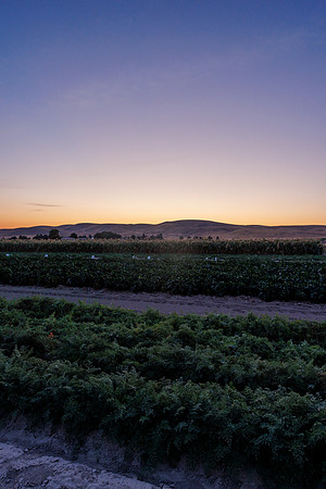 Seminis2022_Idaho_171-HDR