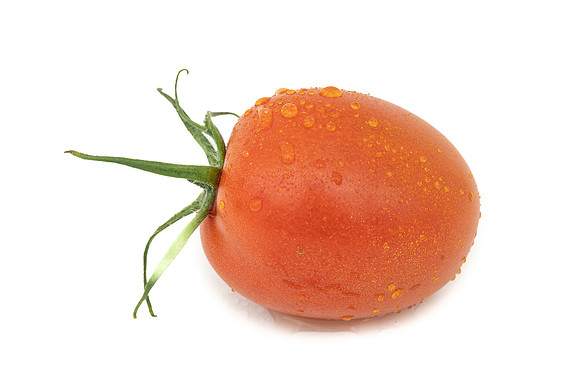 Tomatoes_DRTJ4101_29