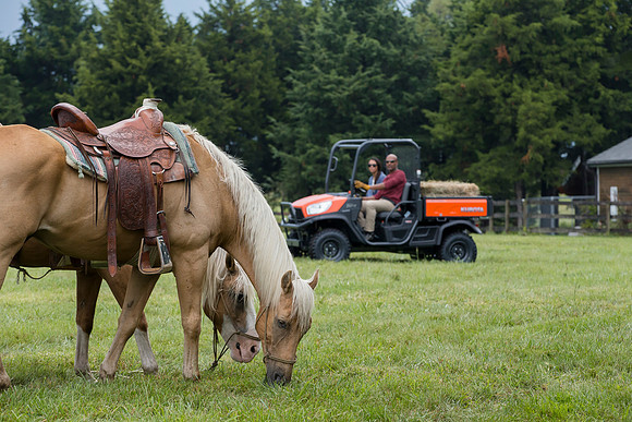 Kubota_RTVX900_CDP2015_0283