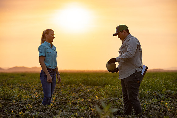 Seminis2021_AZ_612