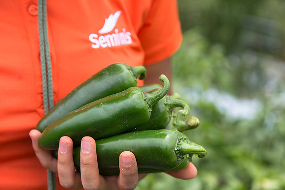 HotPepper_PS5807_MX_0026