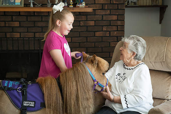 AmericasFarmers_HeartlandMiniHorses_282