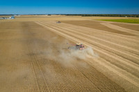 NL_Soybean_Harvest_2019_d_4