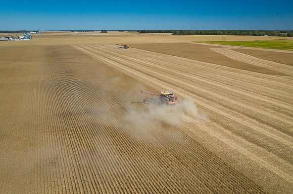 NL_Soybean_Harvest_2019_d_4
