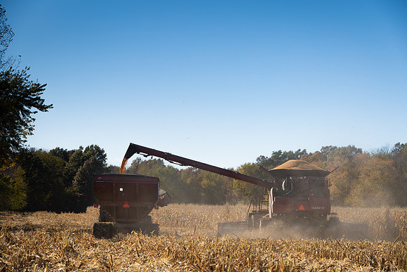 NL_Corn_Harvest_2019_c_70