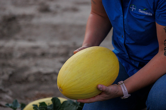 Seminis2022_Idaho_588