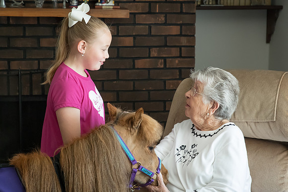 AmericasFarmers_HeartlandMiniHorses_290