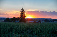 Seminis2022_Idaho_116