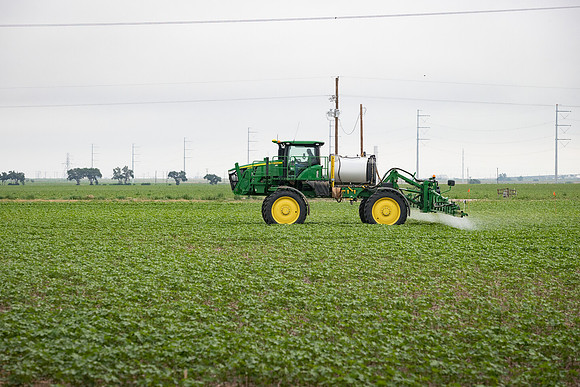 RRXCottonTexas_cdp_4967