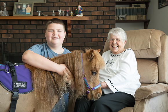 AmericasFarmers_HeartlandMiniHorses_347