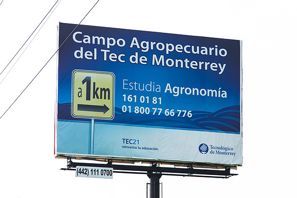 Campo_Agropecaurio_MX_0003