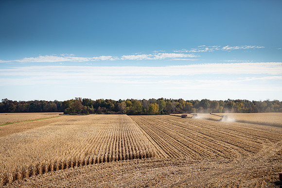 NL_Corn_Harvest_2019_c_364