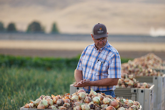 Seminis2022_Idaho_1755