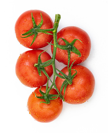 Tomatoes_DRTH1055_29