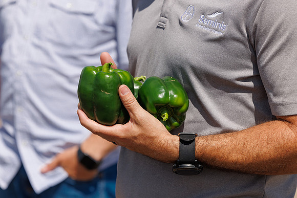 Seminis2024_FL_Chastain_122