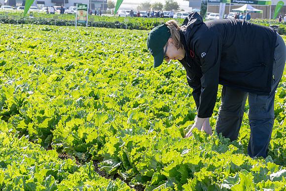 Seminis_SJB_FieldDay2025_1091