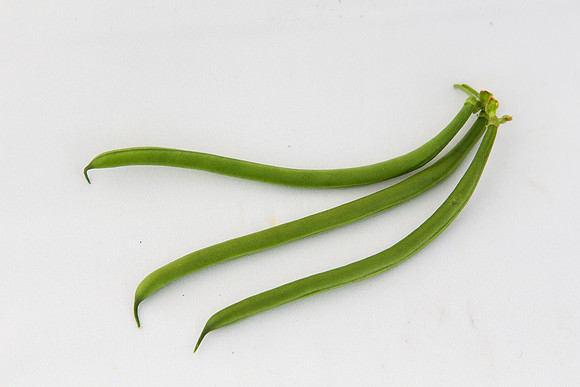 GreenBean_Giolli_MX_Group_0012