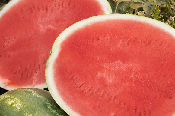 Watermelon_SVWA6179_CA_8