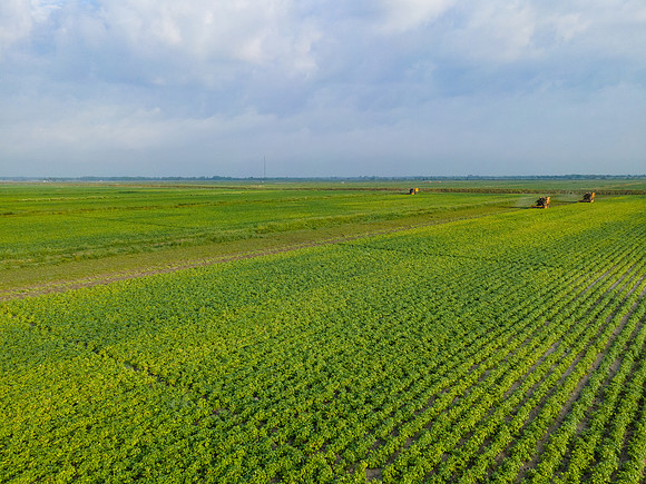 Seminis2022_FL_JEM_3762
