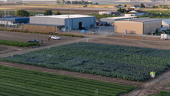 Seminis_SJB_FieldDay2025_19