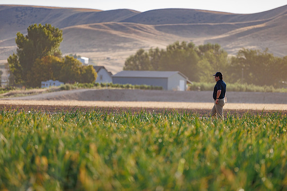 Seminis2022_Idaho_1652
