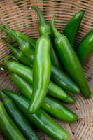 HotPepper_DonVincente_MX_0025