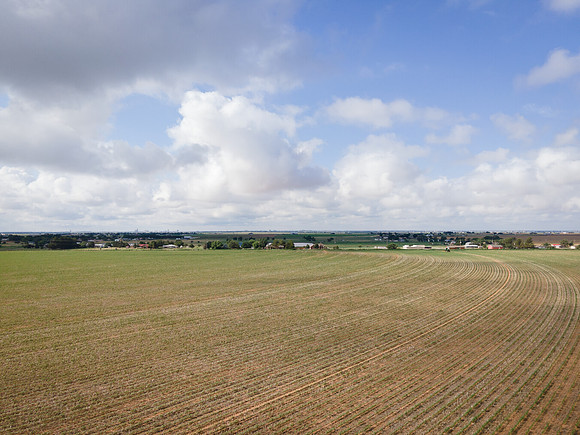 RRXCottonTexas_cdp_5337