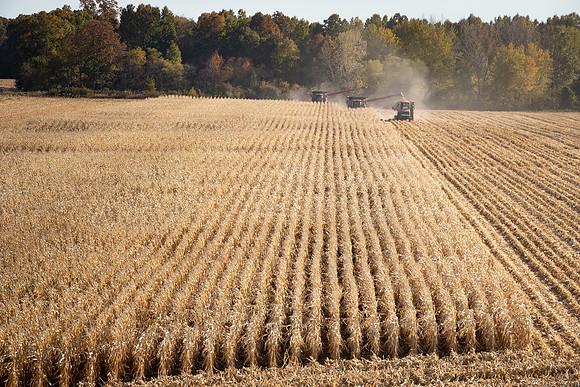 NL_Corn_Harvest_2019_c_376