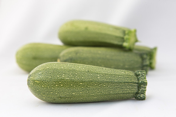 Squash_Adelita_MX_Group_0013