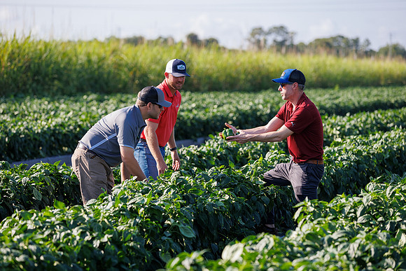 Seminis2022_FL_Bedner_142